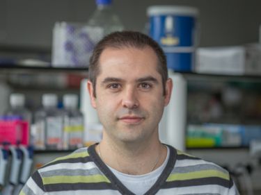 Raúl Catena